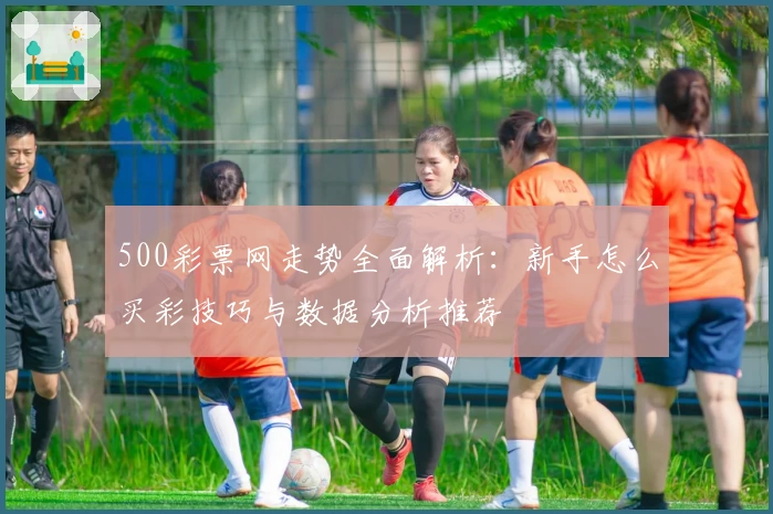 500彩票网走势全面解析：新手怎么买彩技巧与数据分析推荐