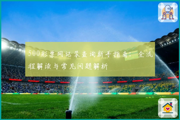 500彩票网记录查询新手指南：全流程解读与常见问题解析