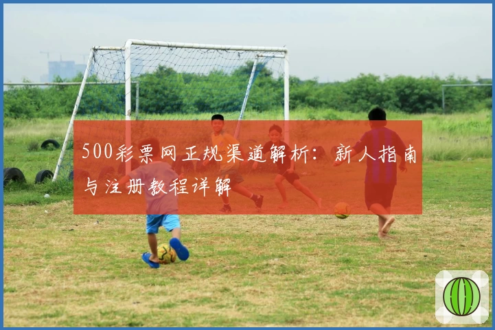 500彩票网正规渠道解析：新人指南与注册教程详解
