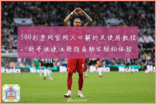 500彩票网官网入口解析及使用教程，新手快速注册指南助你轻松体验