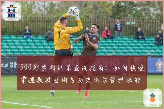 500彩票网记录查询指南：如何快速掌握数据查询与历史记录管理功能