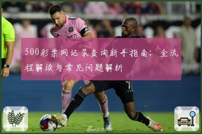 500彩票网记录查询新手指南：全流程解读与常见问题解析