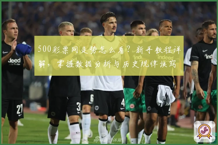 500彩票网走势怎么看？新手教程详解，掌握数据分析与历史规律诀窍